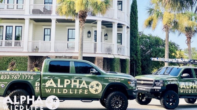 Alpha Wildlife truck
